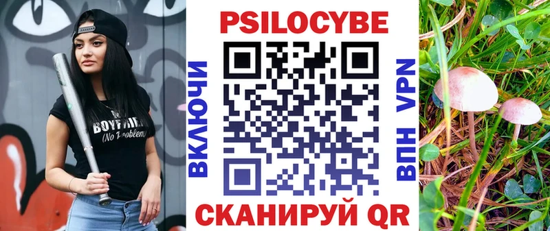 Купить закладки  Нерчинск  Псилоцибиновые грибы MAGIC MUSHROOMS 